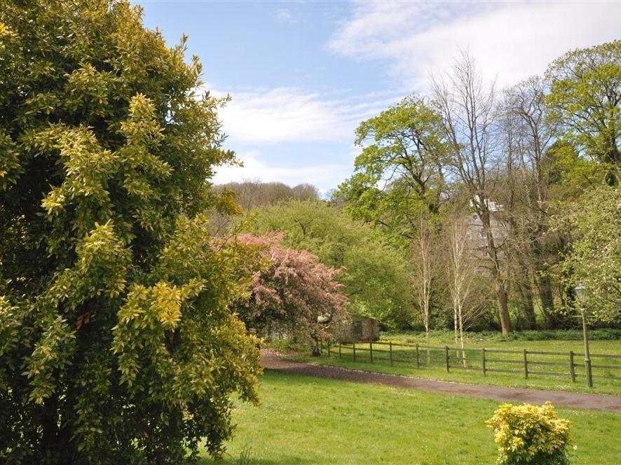 Sixpenny Cottage Upwey Buitenkant foto